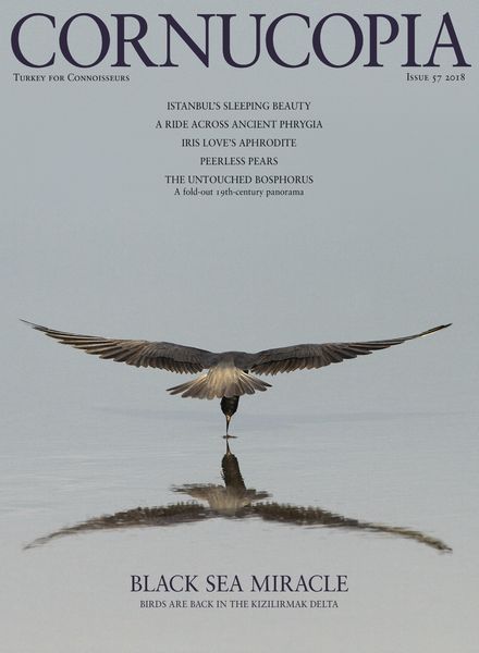 Cornucopia – Issue 57, 2018
