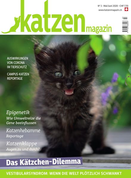 Katzen Magazin – Marz 2020