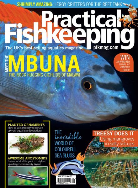 Practical Fishkeeping – June 2019