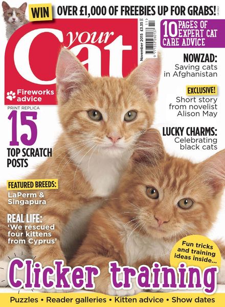 Your Cat – november 2015