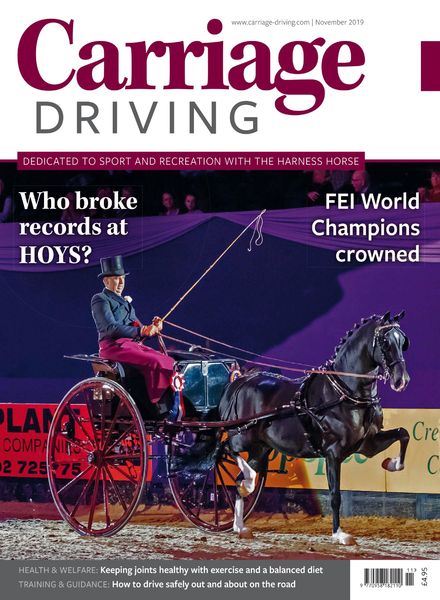 Carriage Driving – November 2019