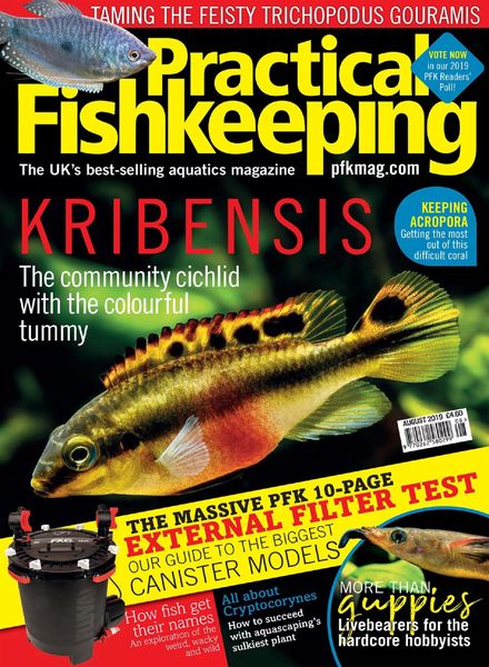 Practical Fishkeeping – August 2019
