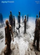 Underwater Photography – May-June 2020