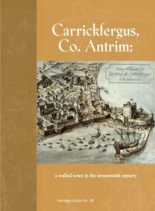 Archaeology Ireland – Heritage Guide N 36
