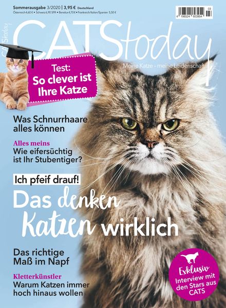 Cats Today – Sommer 2020