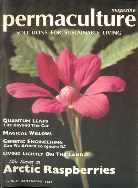 Permaculture – N 17 Spring 1998