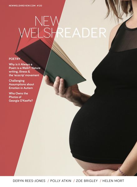 New Welsh Reader – Spring 2019