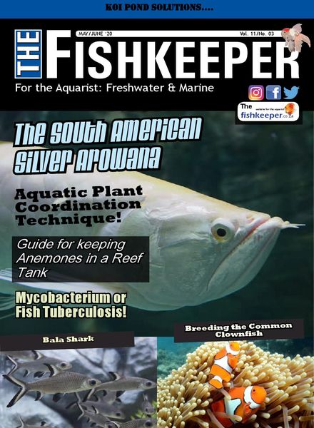 The Fishkeeper – May-June 2020