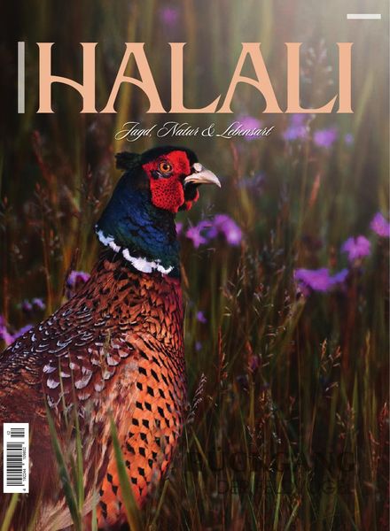 Halali – Mai-Juli 2020