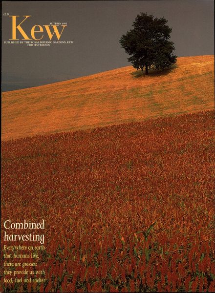 Kew Magazine – Autumn 1993