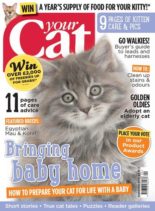Your Cat – September 2015