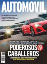 Automovil Panamericano – junio 2020