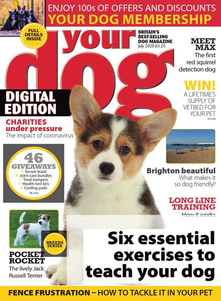 Your Dog – July 2020