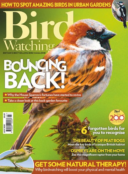 Bird Watching UK – July 2020
