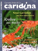 Caridina – Nr.2 2020