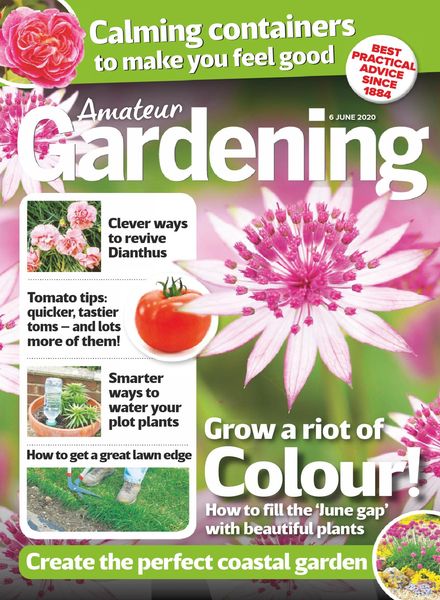 Amateur Gardening – 06 June 2020