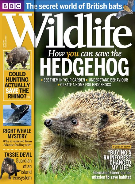 BBC Wildlife – Spring 2014