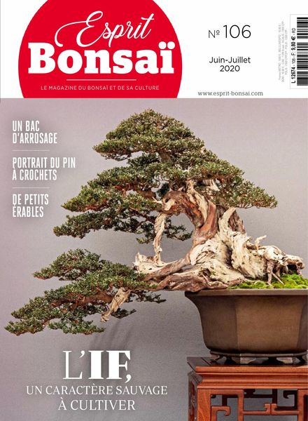 Esprit Bonsai – juin 2020