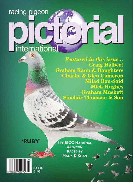 Racing Pigeon Pictorial International – June 2020