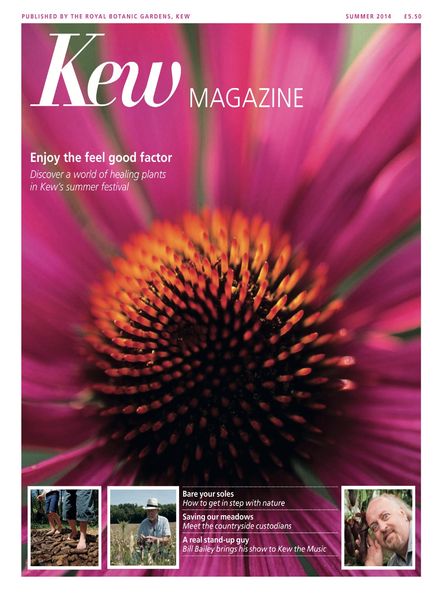 Kew Magazine – Summer 2014