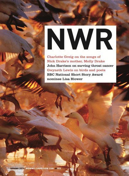 New Welsh Reader – Spring 2014
