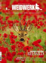 WEIDWERK – 01 Juni 2020