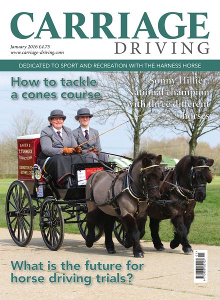 Carriage Driving – January 2016