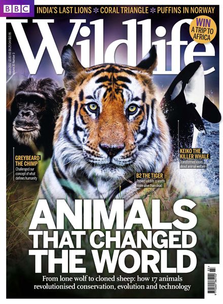 BBC Wildlife – March 2012