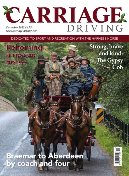 Carriage Driving – December 2015