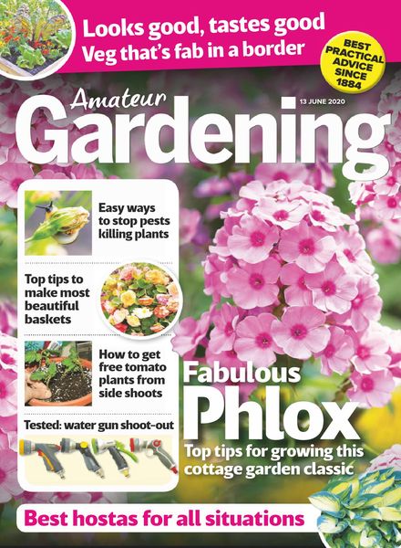 Amateur Gardening – 13 June 2020