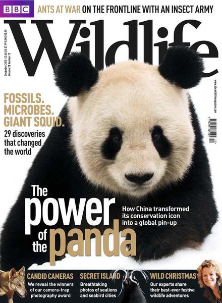 BBC Wildlife – December 2010