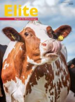 Elite – Juni 2020