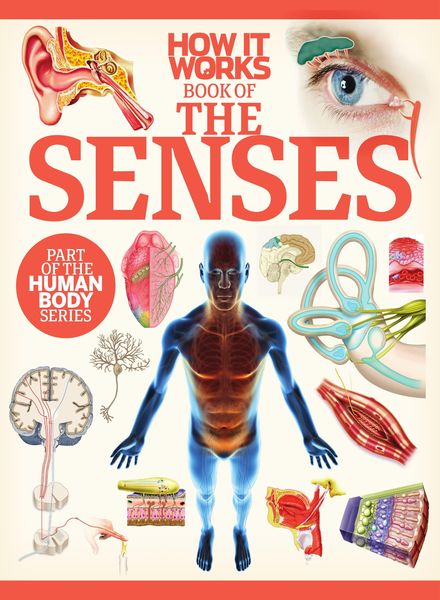 How It Works Book of the Senses – 29 June 2020