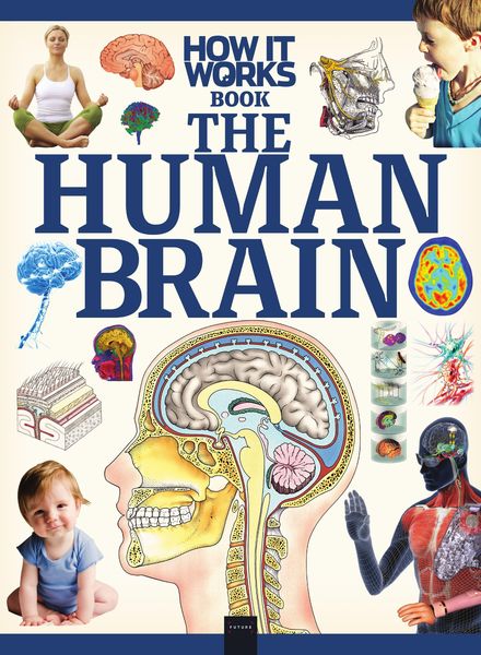 How It Works The Human Brain – 30 June 2020