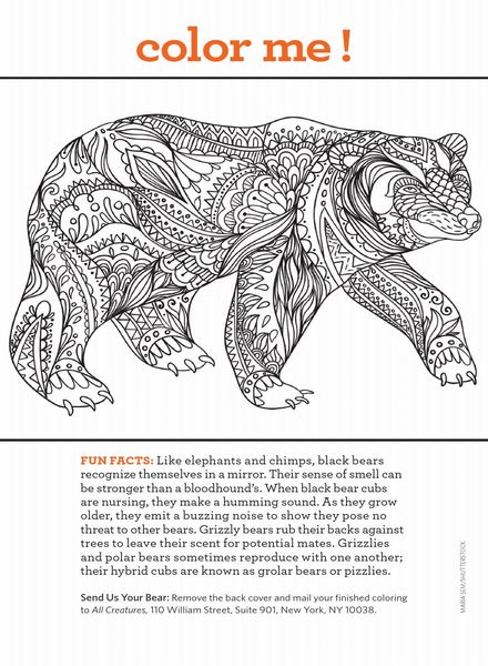 All Creatures – July 2020