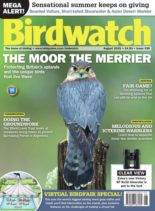 Birdwatch UK – August 2020