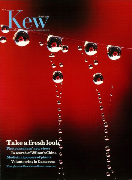 Kew Magazine – Summer 2004