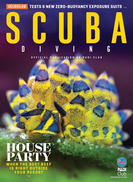 Scuba Diving – July 2020