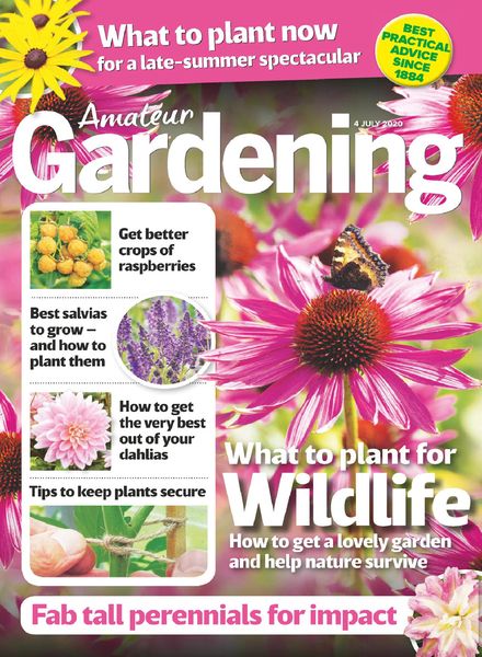 Amateur Gardening – 04 July 2020