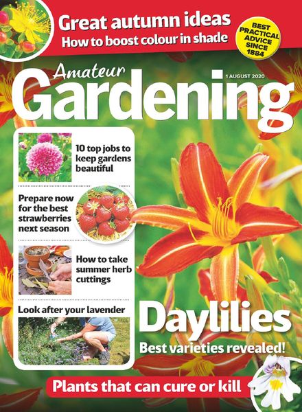 Amateur Gardening – 01 August 2020