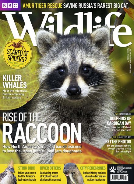 BBC Wildlife – July 2011