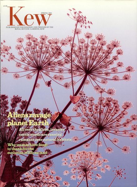Kew Magazine – Spring 2001