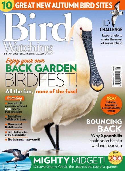 Bird Watching UK – September 2020