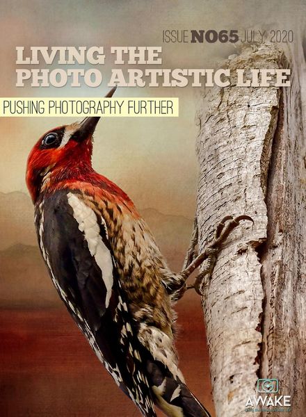 Living The Photo Artistic Life – July 2020