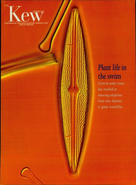 Kew Magazine – Autumn 1994