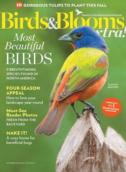 Birds and Blooms Extra – September 2020