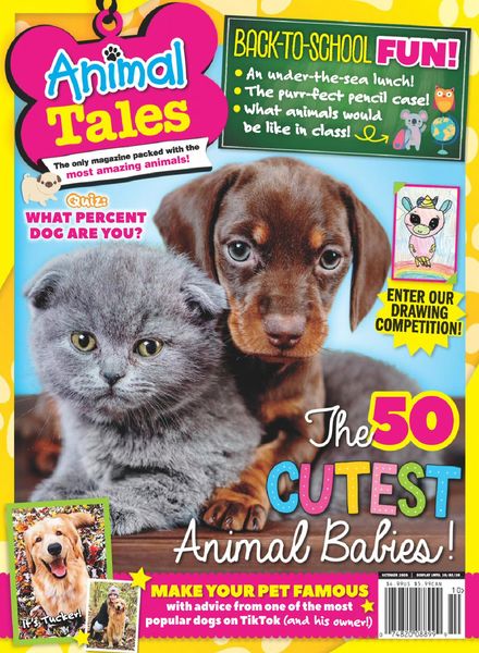 Animal Tales – October 2020
