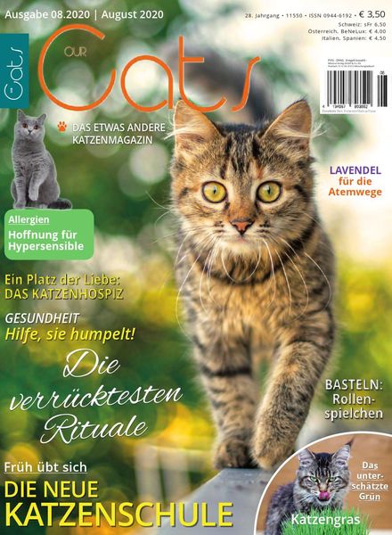 Our Cats – September 2020