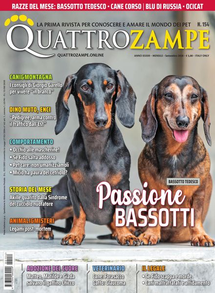 QuattroZampe – Settembre 2020