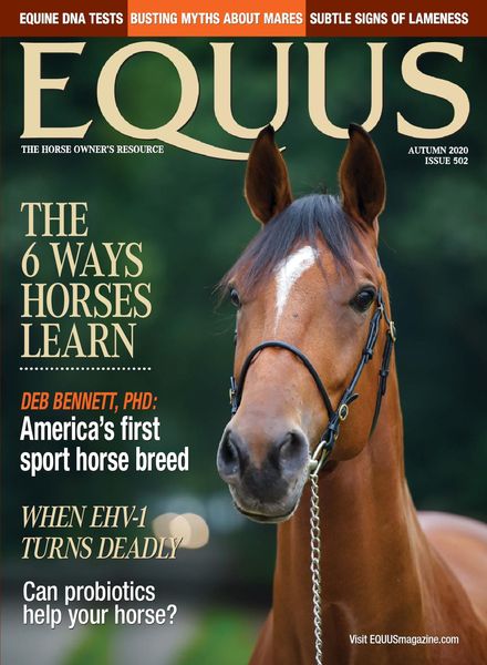 Equus – August 2020